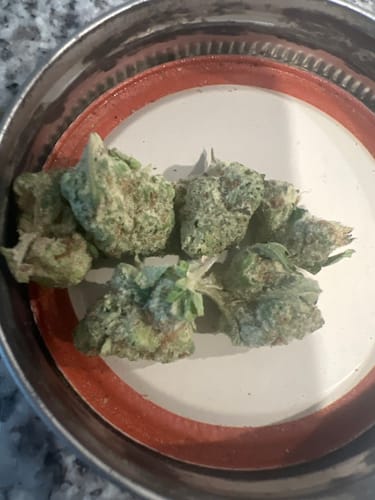 Customer photo review of Glitter Bomb Smalls