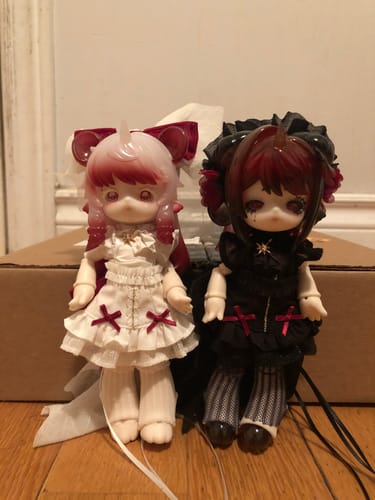 Customer photo review of Antu Spirit of the Book Series Winter Limited Figure【Shipped in Jan. 2025】