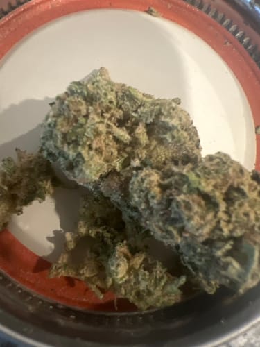 Customer photo review of Green Apple Gas