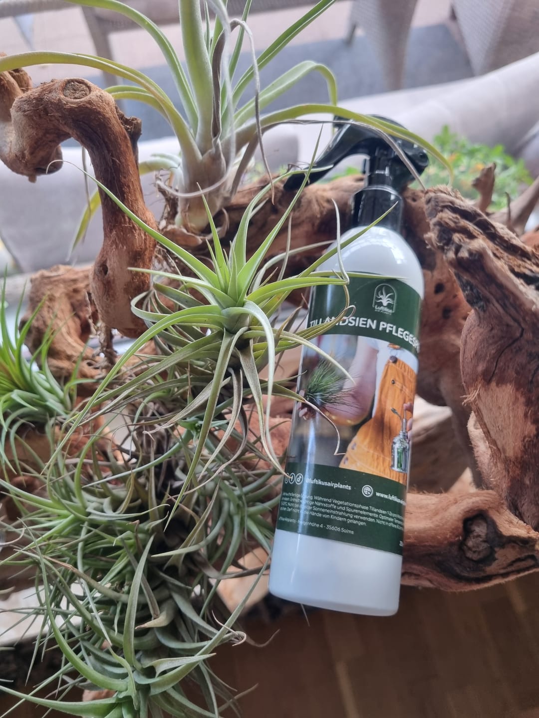 Customer photo review of 3er Set Tillandsien Pflegespray