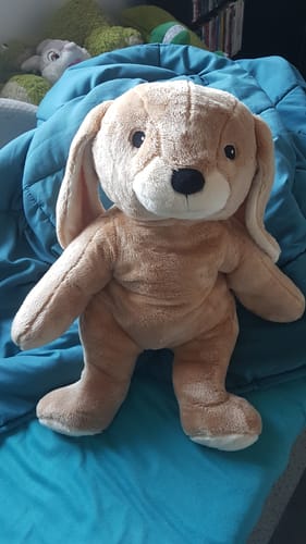 Customer photo review of Lotgenootje Konijn 2kg