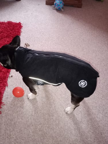 Customer photo review of Dog Fleece With Zip - Black