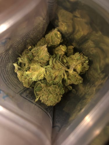 Customer photo review of THCa Greenhouse Smalls