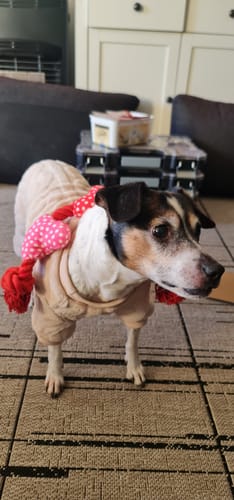 Customer photo review of Valentins Reblegetøj m. Hjerter