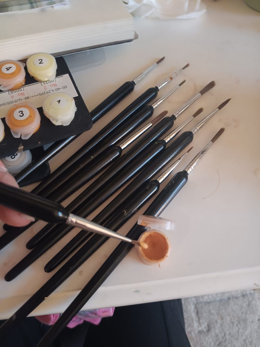 Customer photo review of Precision Detail Brushes (Set of 10)