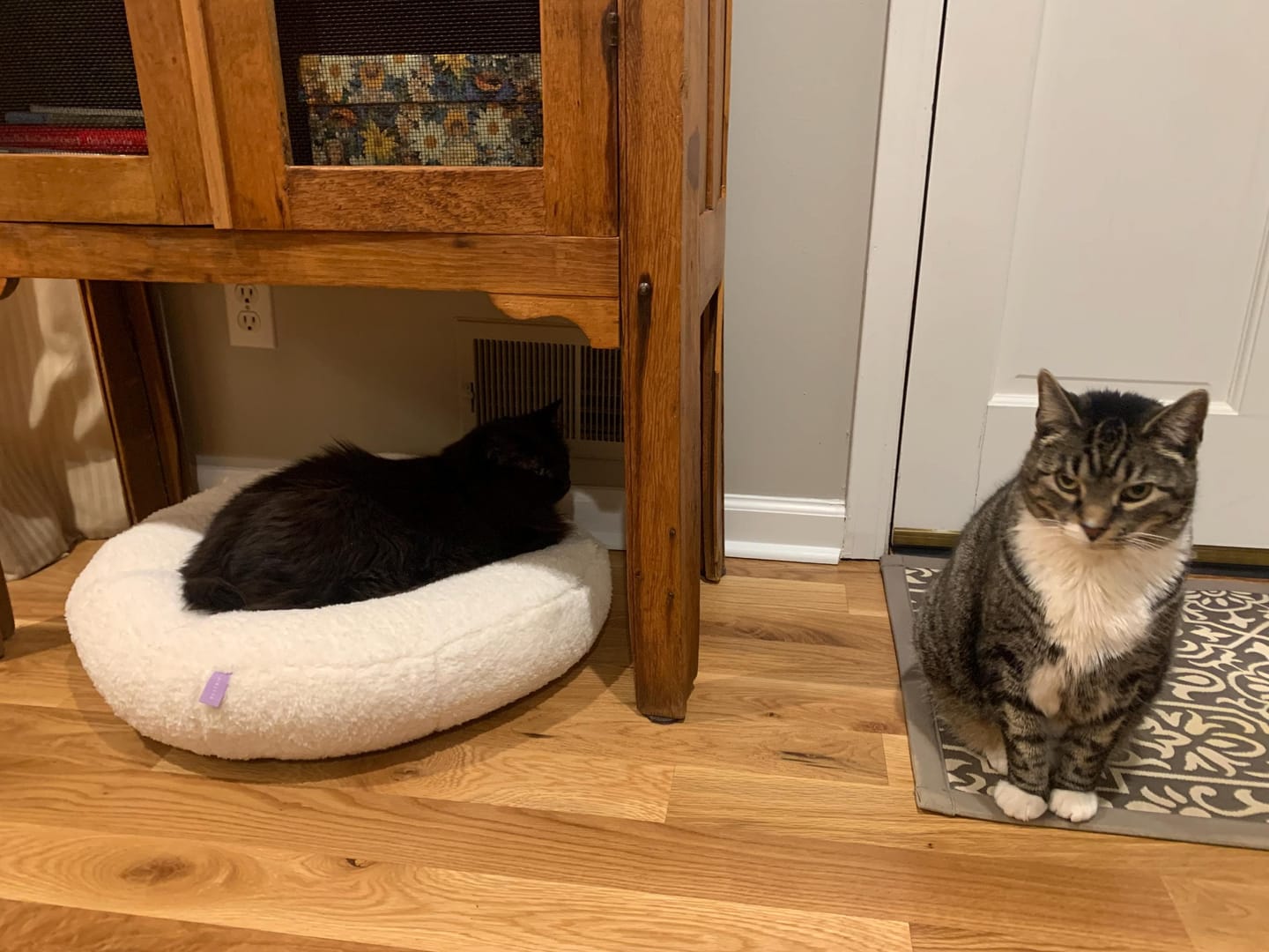 Customer photo review of Marshmallow Pudding Bed