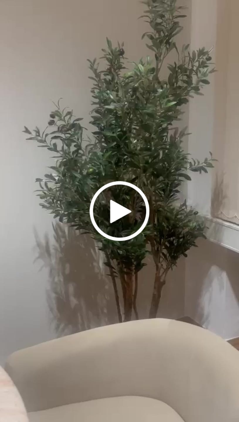 Customer video review of Künstlicher Olivenbaum 180cm