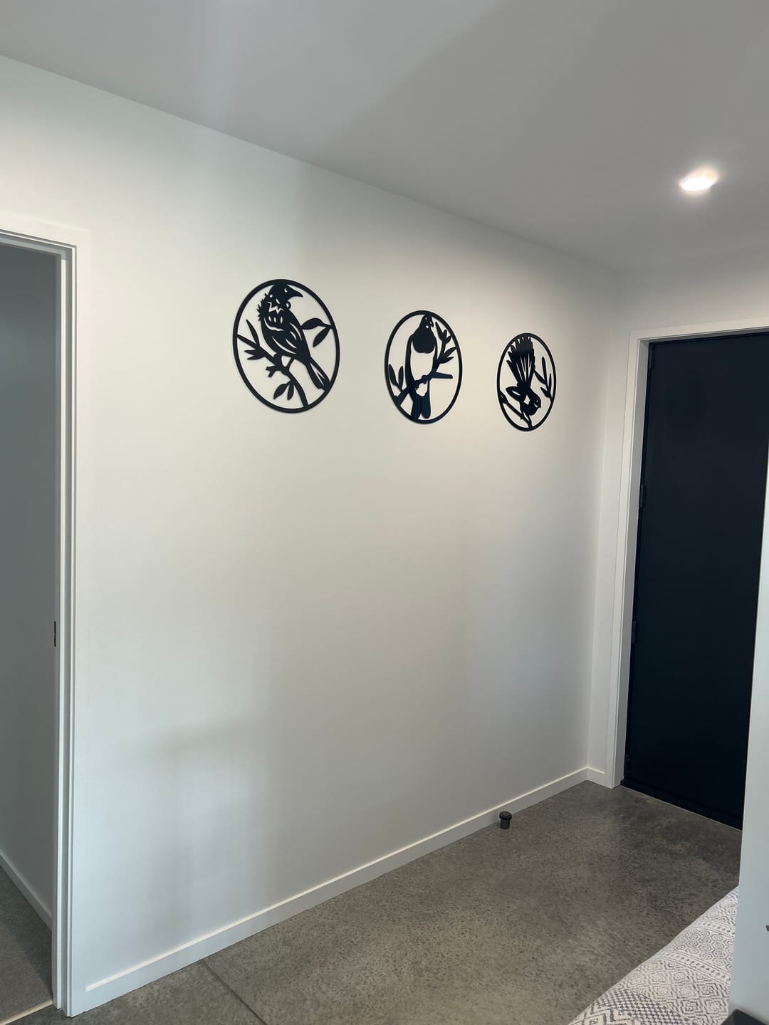 Customer photo review of NZ Native Birds Wall Art Set