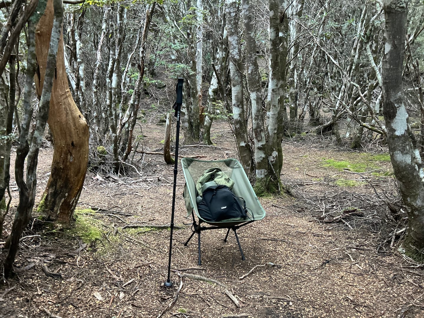 Customer photo review of Ultralight Carbon Hiking Poles Set