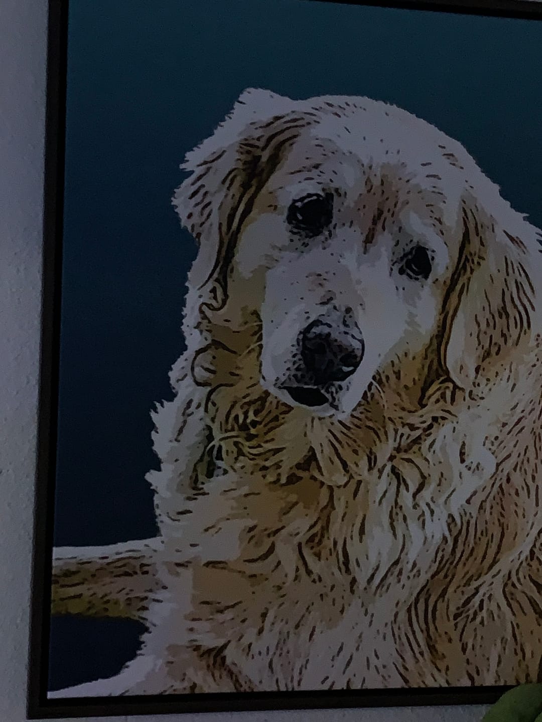 Customer photo review of Custom Pet Art Framed Canvas