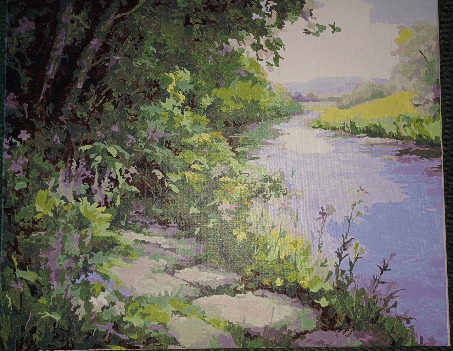 Customer photo review of Verwilderter Flusslauf - Malen nach Zahlen