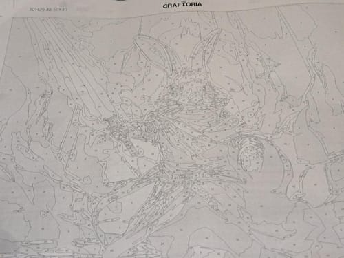 Customer photo review of Custom Paint By Numbers Kit