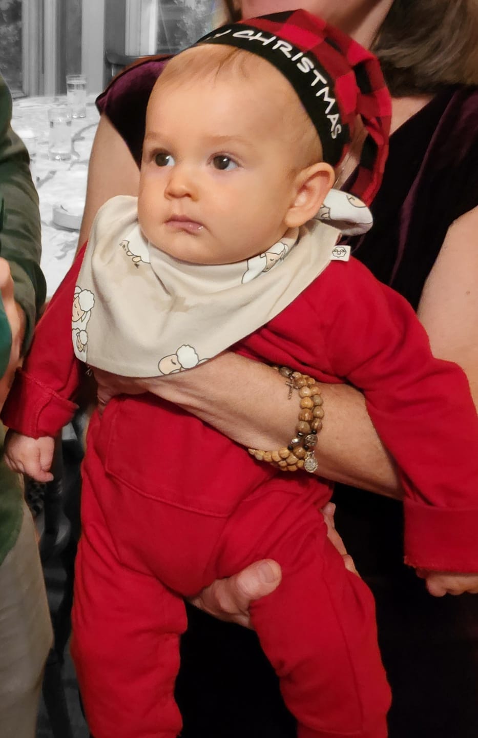 Customer photo review of Bandana Bib Set, Merino Wool & Organic Cotton, Set of 2, Sheep