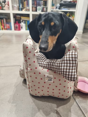 Customer photo review of Trasportino Cotone Panama Little Love Heart Red