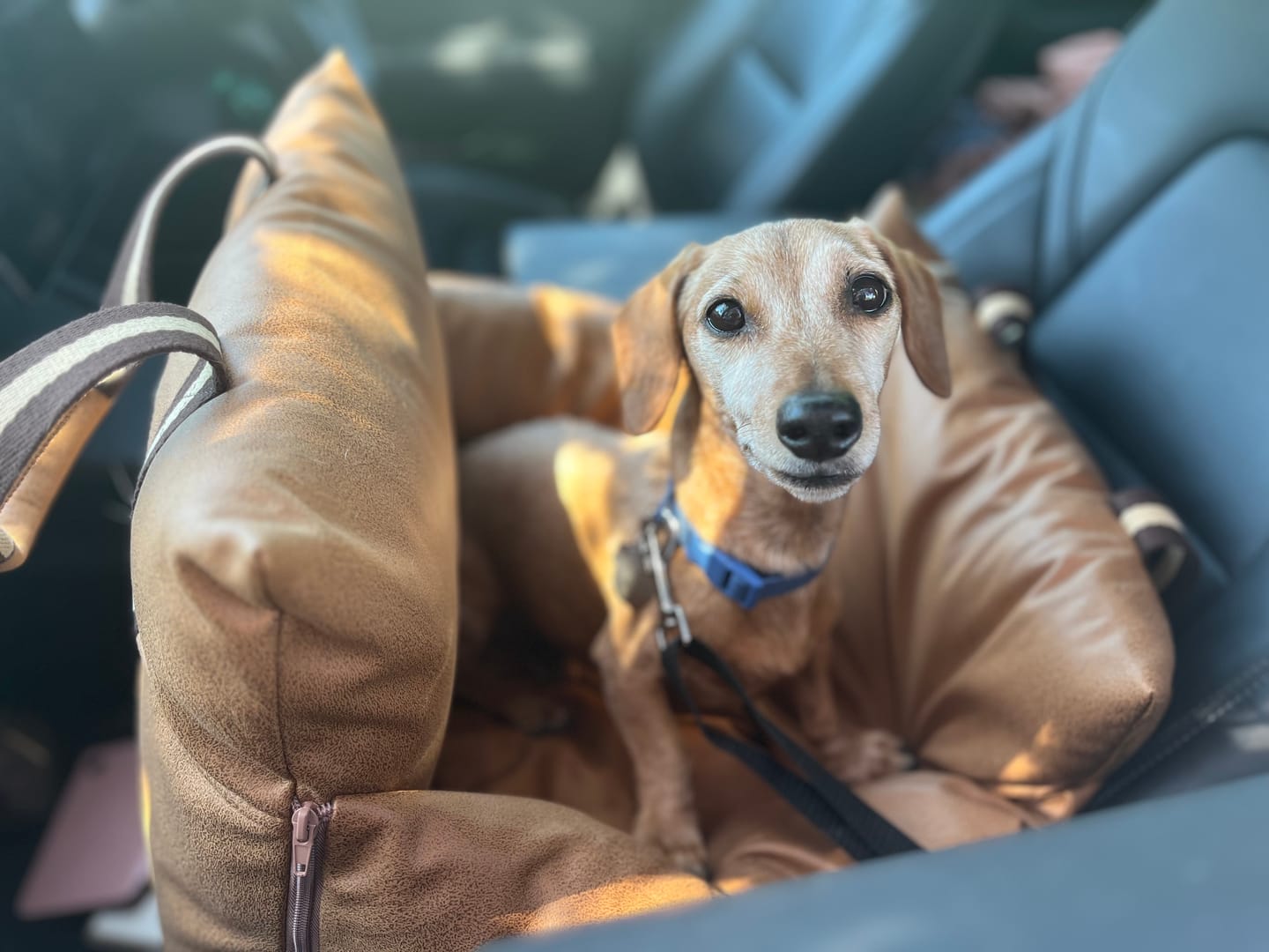 Customer photo review of Boujee Booster