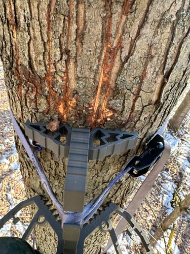 Customer photo review of THE FIX™ PLATFORM