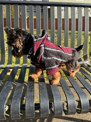 Customer photo review of Playa Poncho - Surprise Color