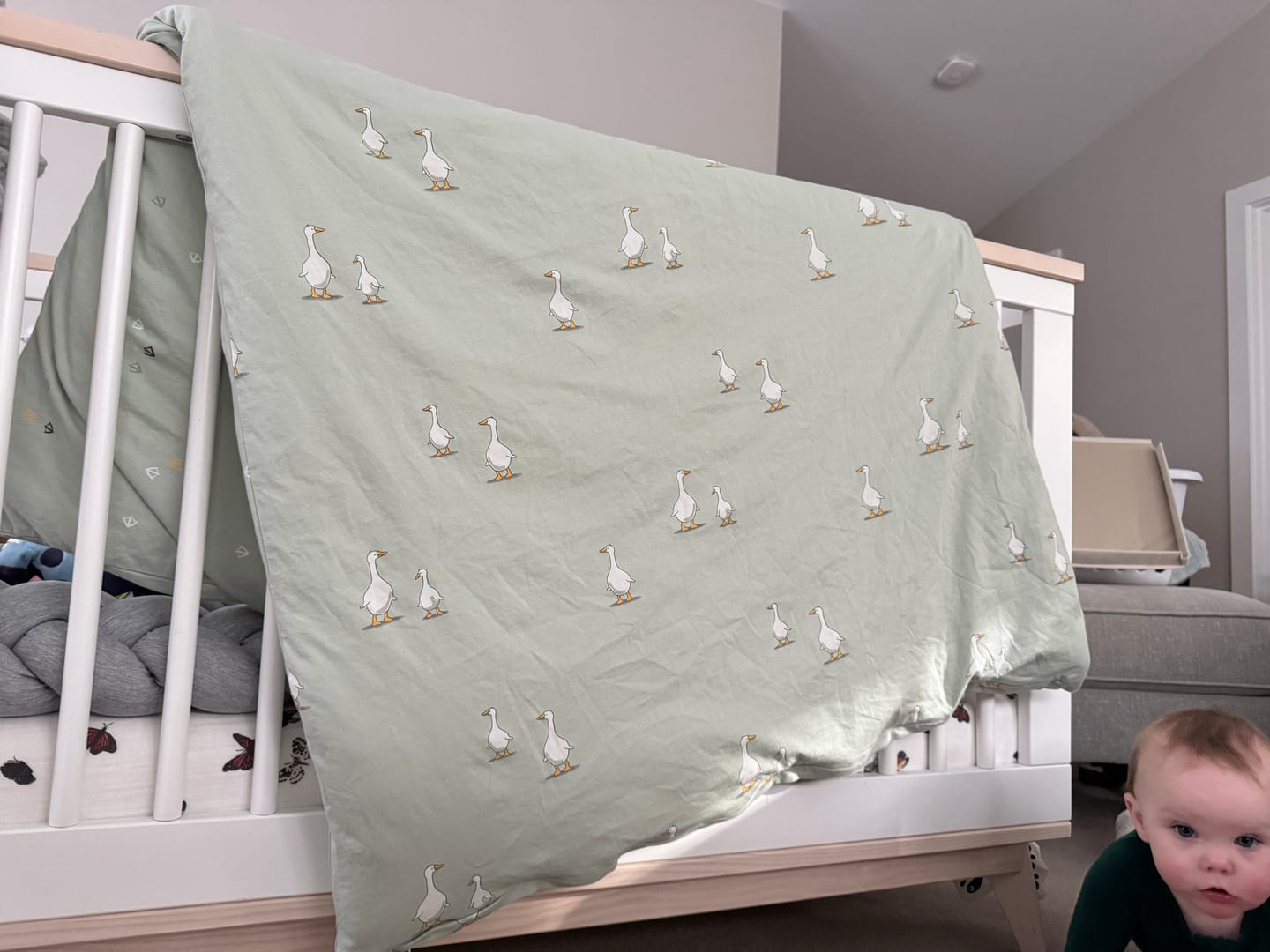 Customer photo review of Wool Comforter, Crib or Toddler