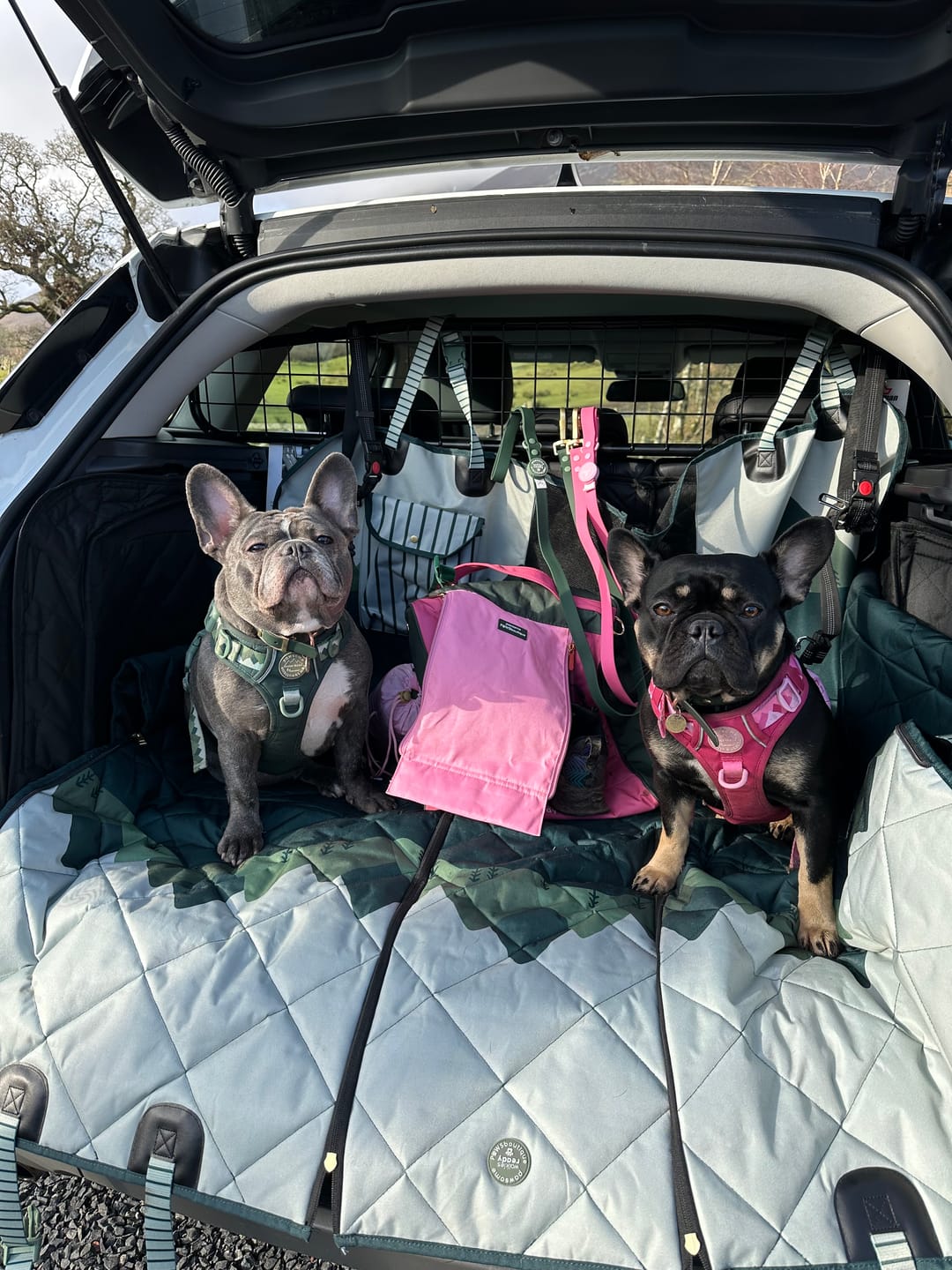 Customer photo review of Car Seat Cover - Walkies Ready® Forest Green
