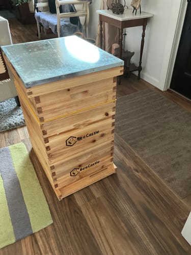 Customer photo review of BeeCastle Hives 10 Frame Wax Coat Complete Beehive Kit:2 Designed Deep Bee Boxes and 1 Super Medium Box,Includes Premium Wooden Frames and Beeswax-Plastic Foundation