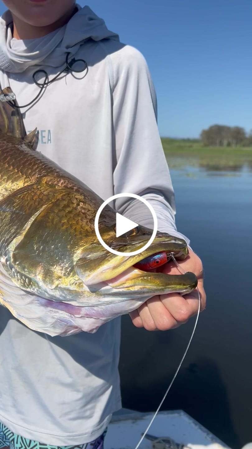 Customer video review of DEATH SHAD
