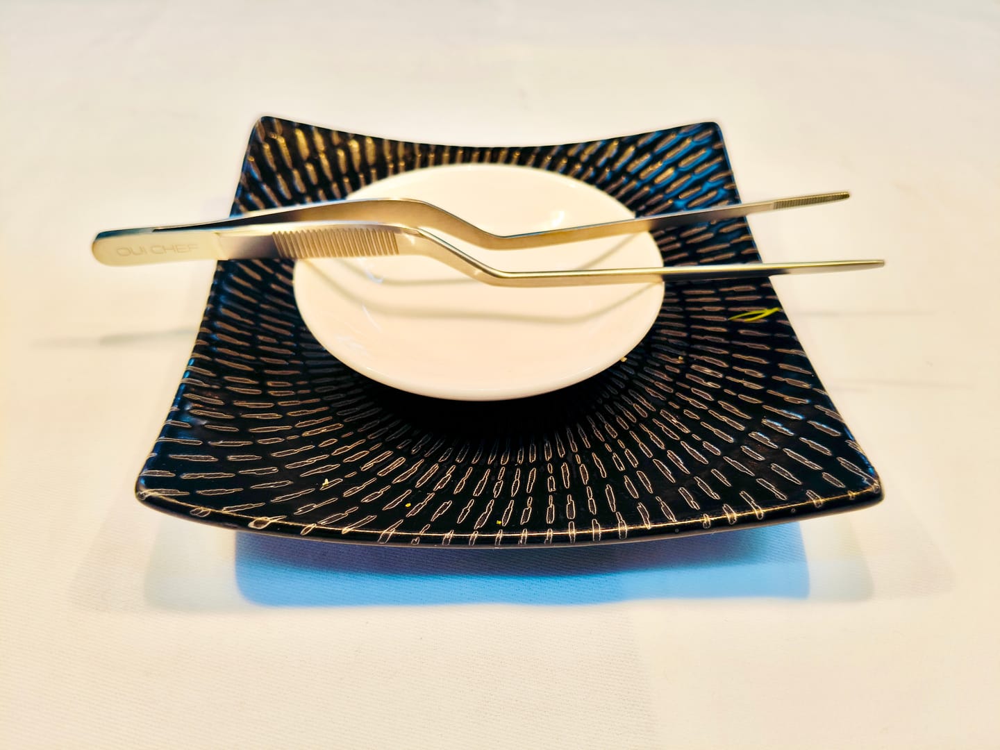 Customer photo review of 17cm/6.9" Offset SuperFine Tweezers