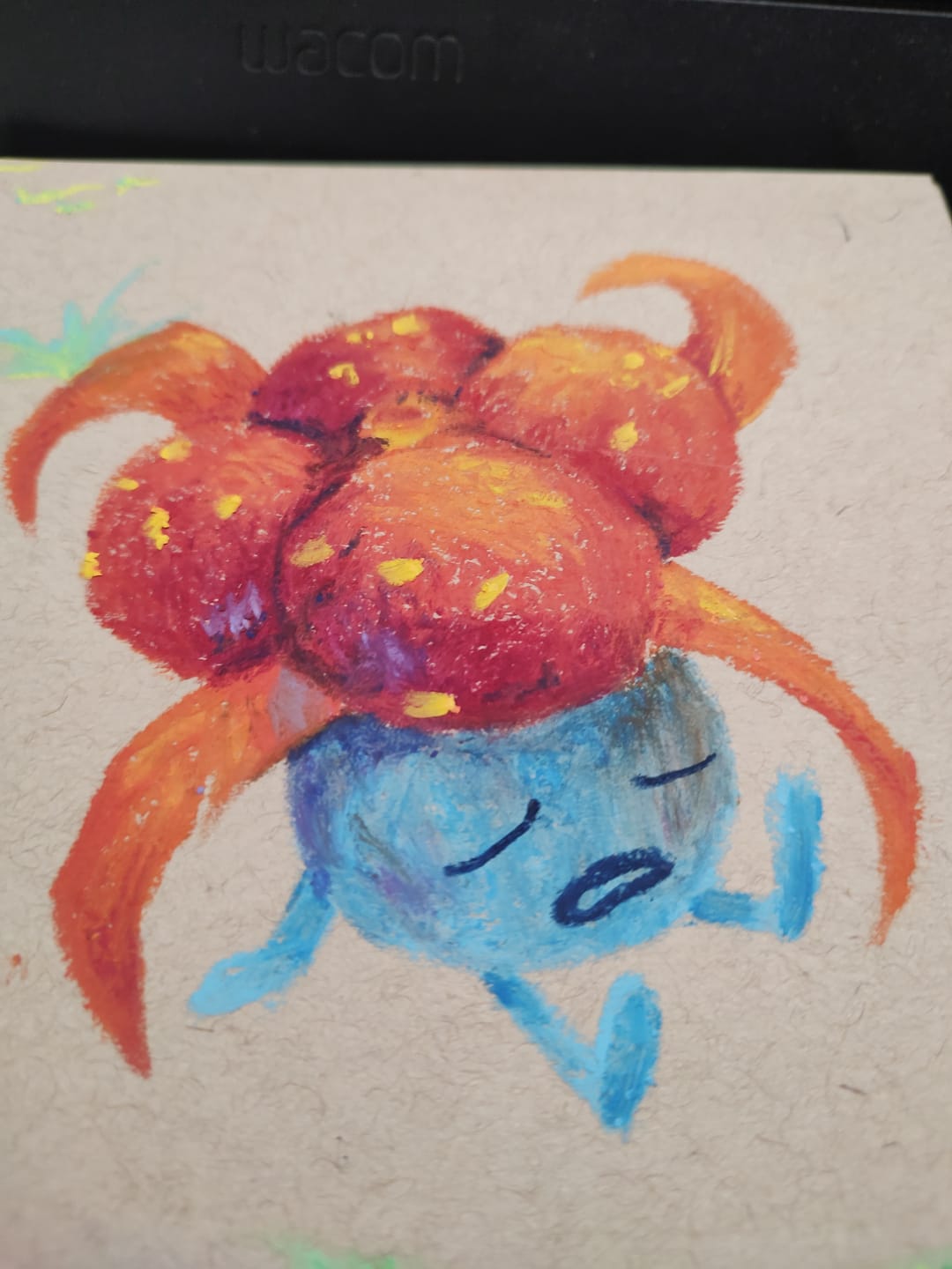 Customer photo review of Himi - Set 36 Pasteles al Óleo Oil Pastel