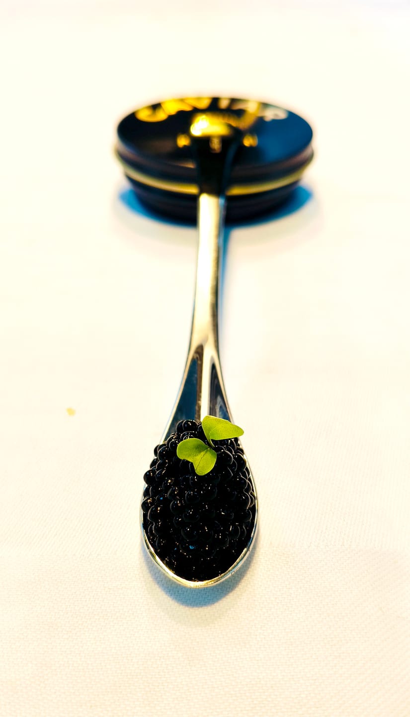 Customer photo review of SignatureSpoon Tiny