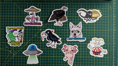 Customer photo review of Stickers Laminados Mate