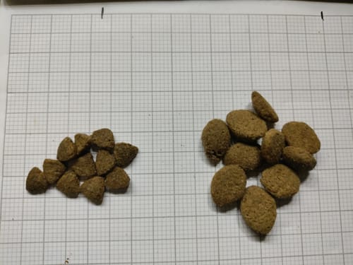 Customer photo review of More Senior All Breeds Dry Dog Food
