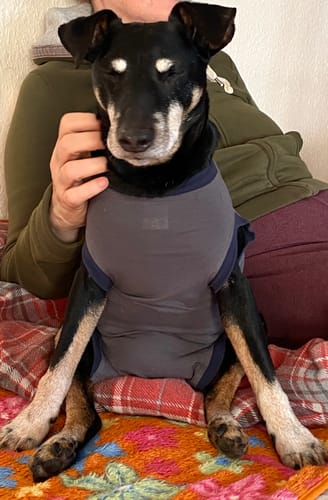 Customer photo review of Multi Vital