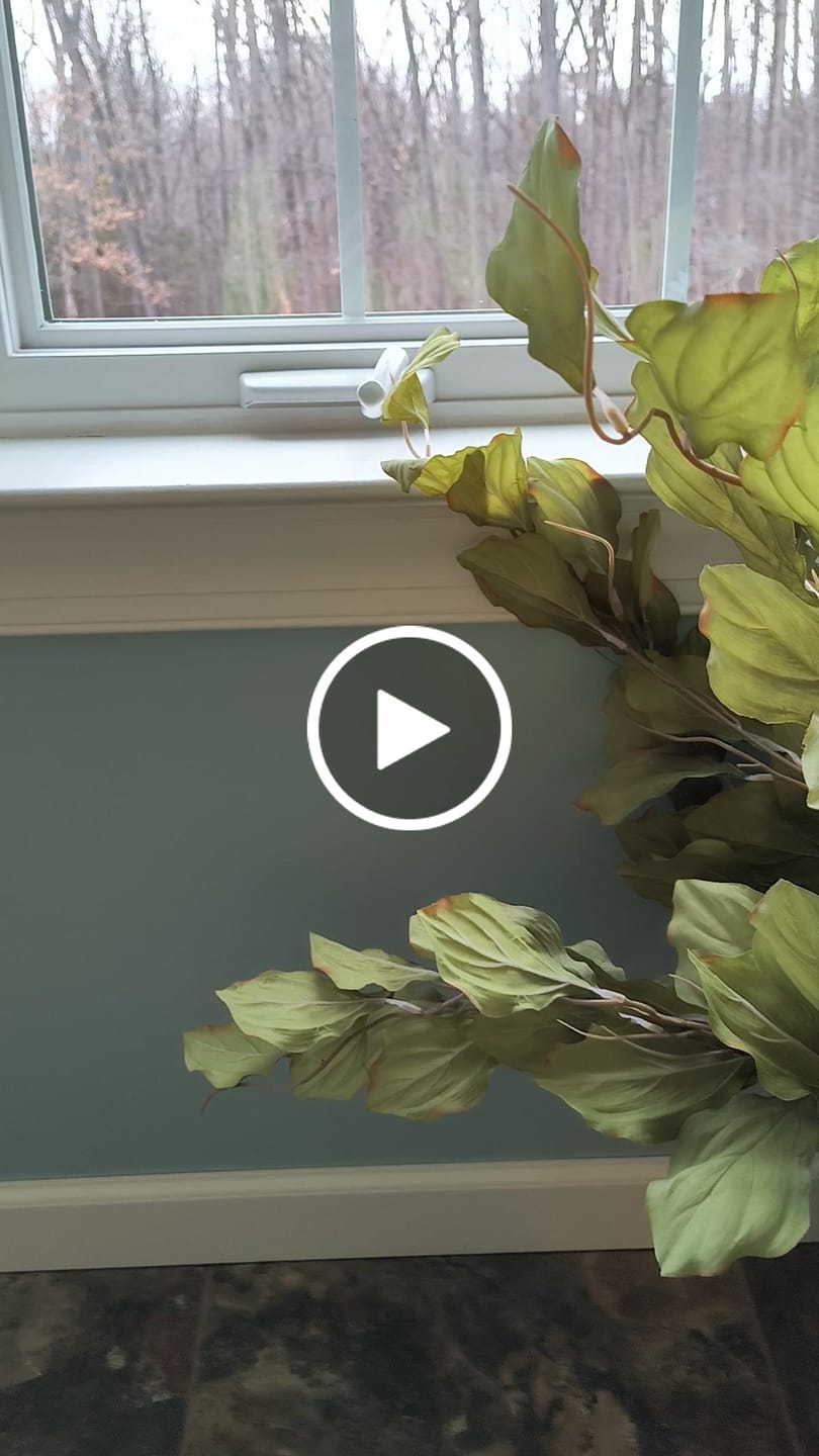 Customer video review of Fallon Green Leaf Spray