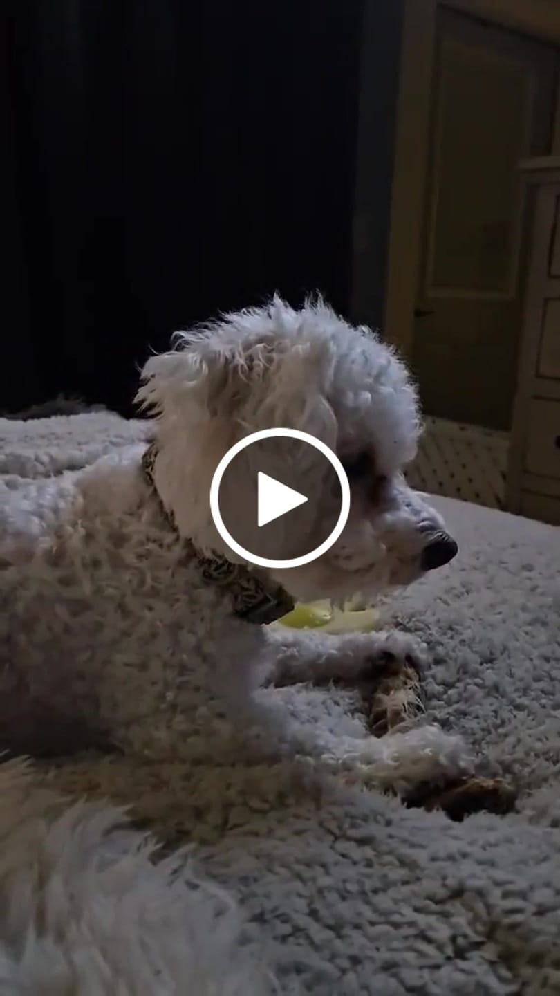 Customer video review of Mystery Gift