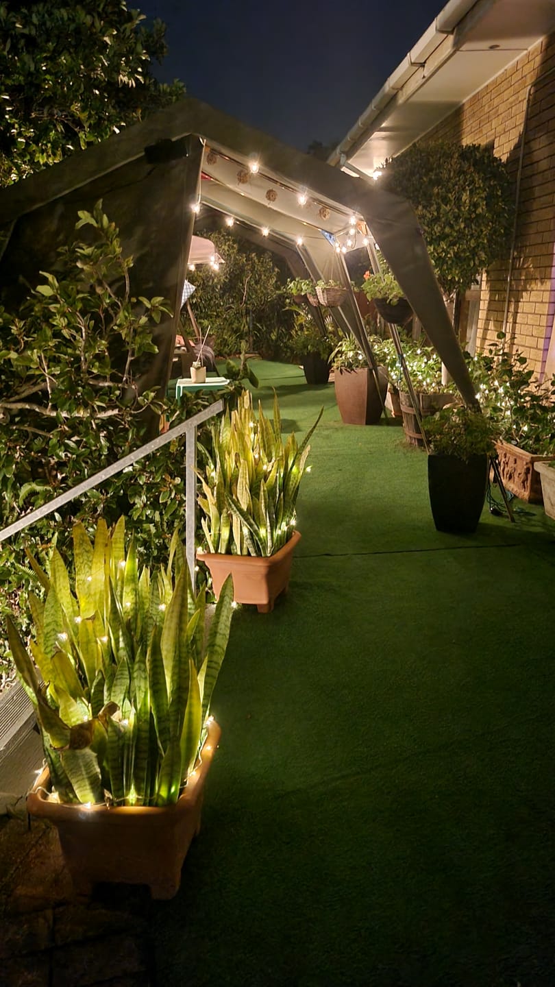 Customer photo review of Copper Wire Solar Fairy Lights