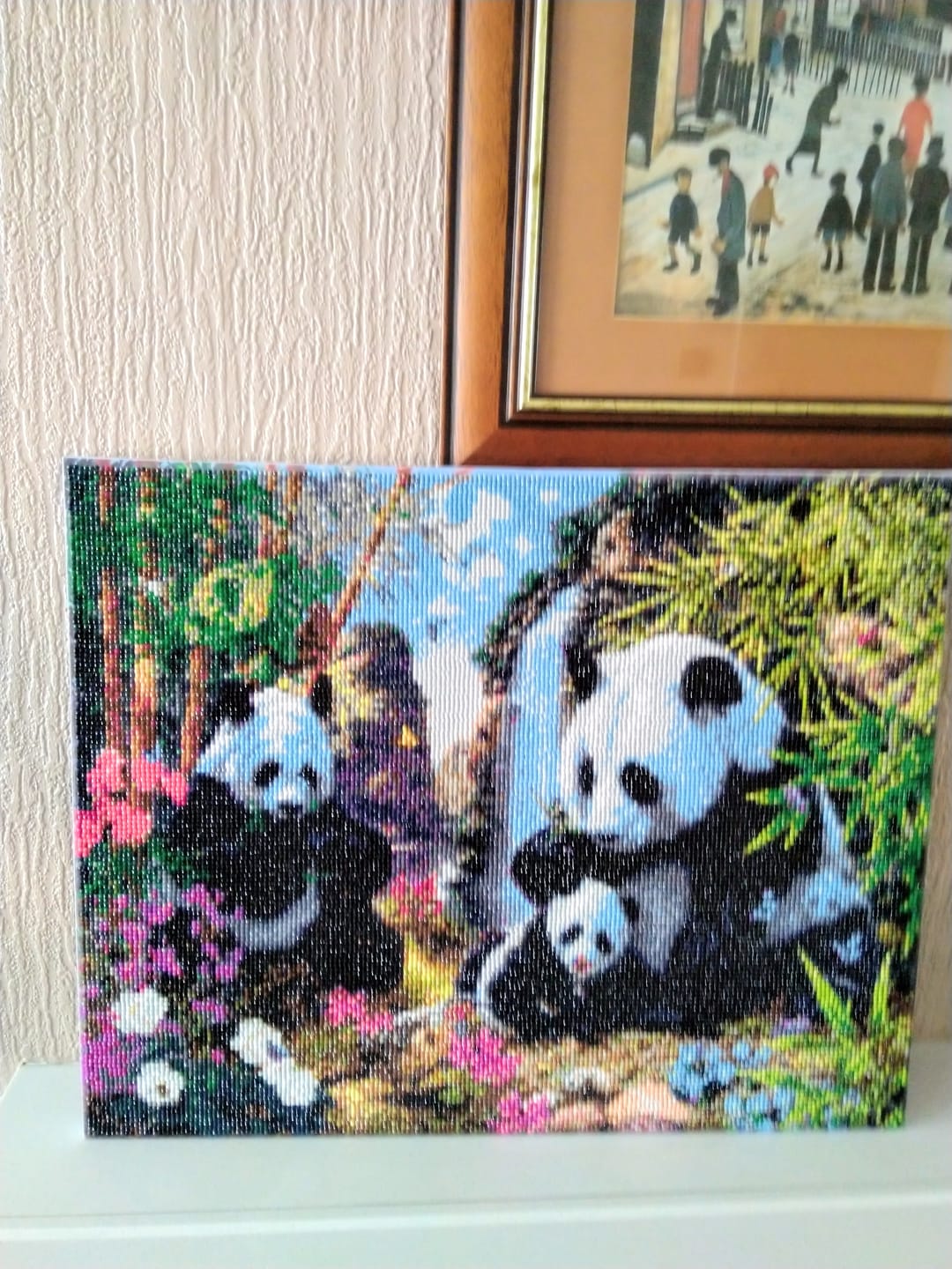 Customer photo review of Personalised Crystal Art Canvas Kit