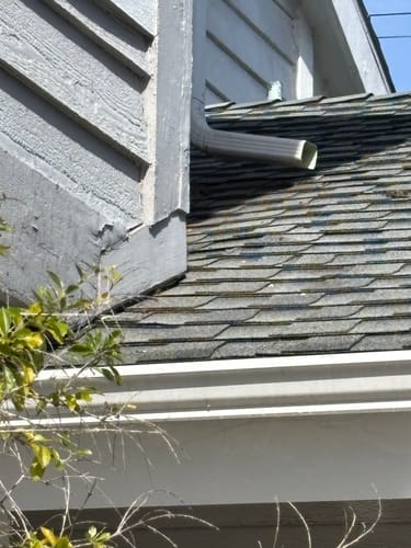 Customer photo review of Cheech & Chong 28 Cotton Tee