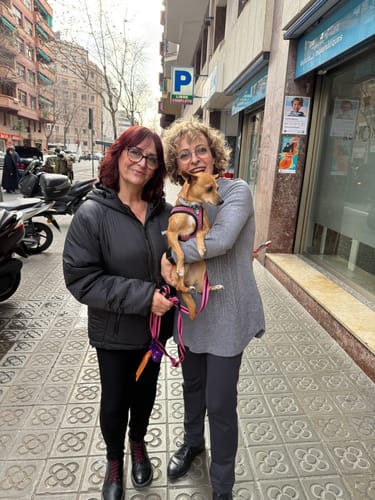 Customer photo review of Pack 4 Esenciales del Hogar