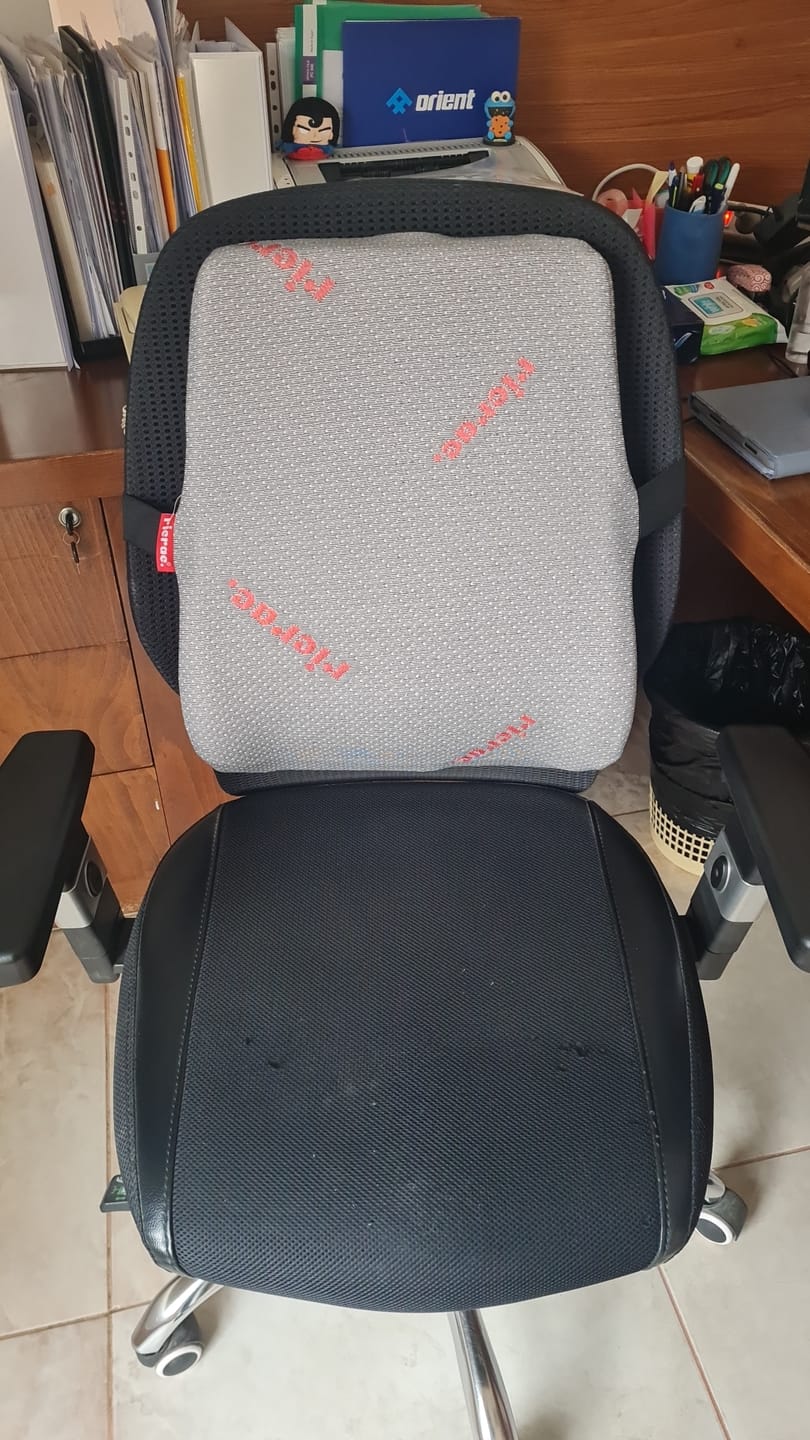 Customer photo review of Ruf- Full back Support Pillow