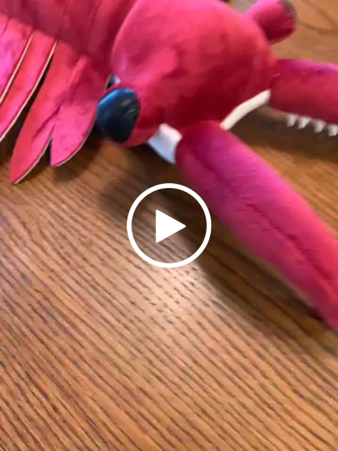 Customer video review of Anomalocaris Arthropod Soft Stuffed Plush Toy