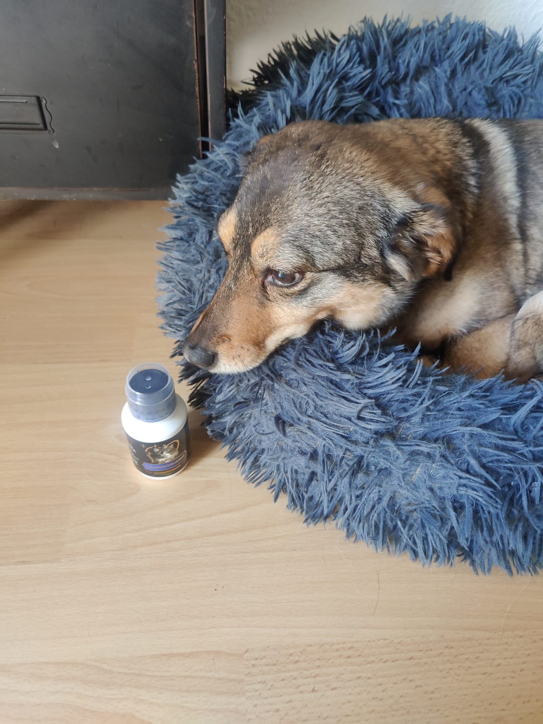 Customer photo review of Zahnhygiene Wasserzusatz