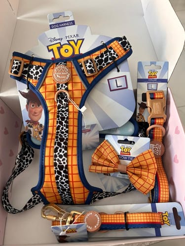 Customer photo review of Disney© Lead - Woody