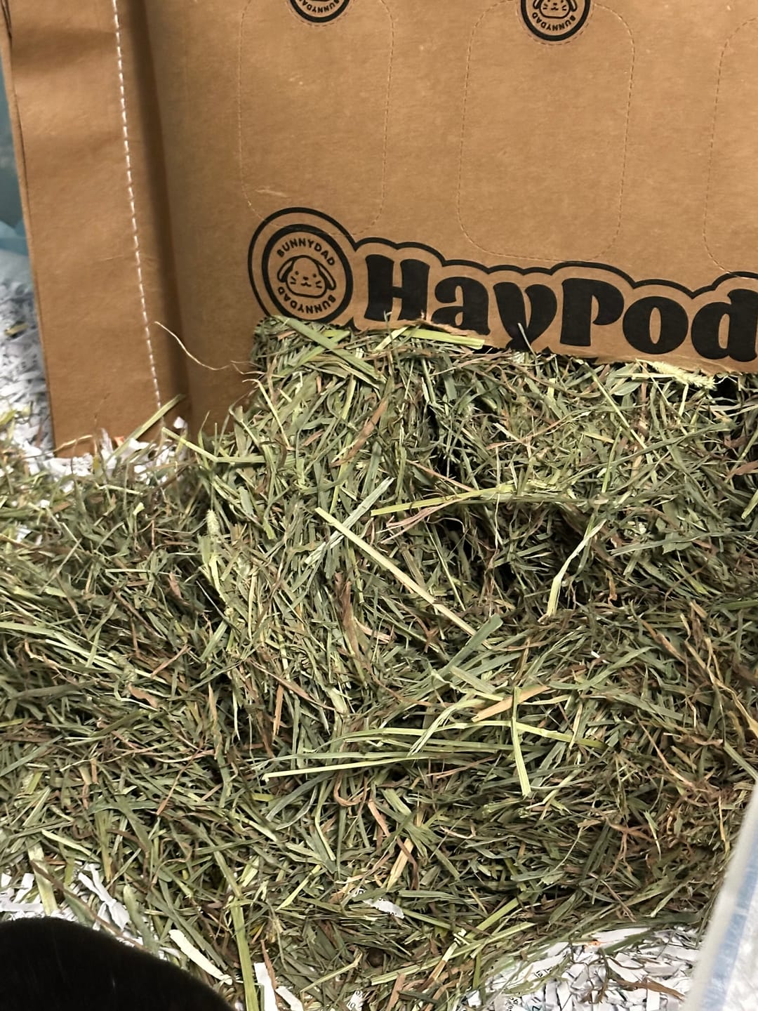 Customer photo review of Subscription Timothy Hay Bar for Guinea Pigs (5 Pack)