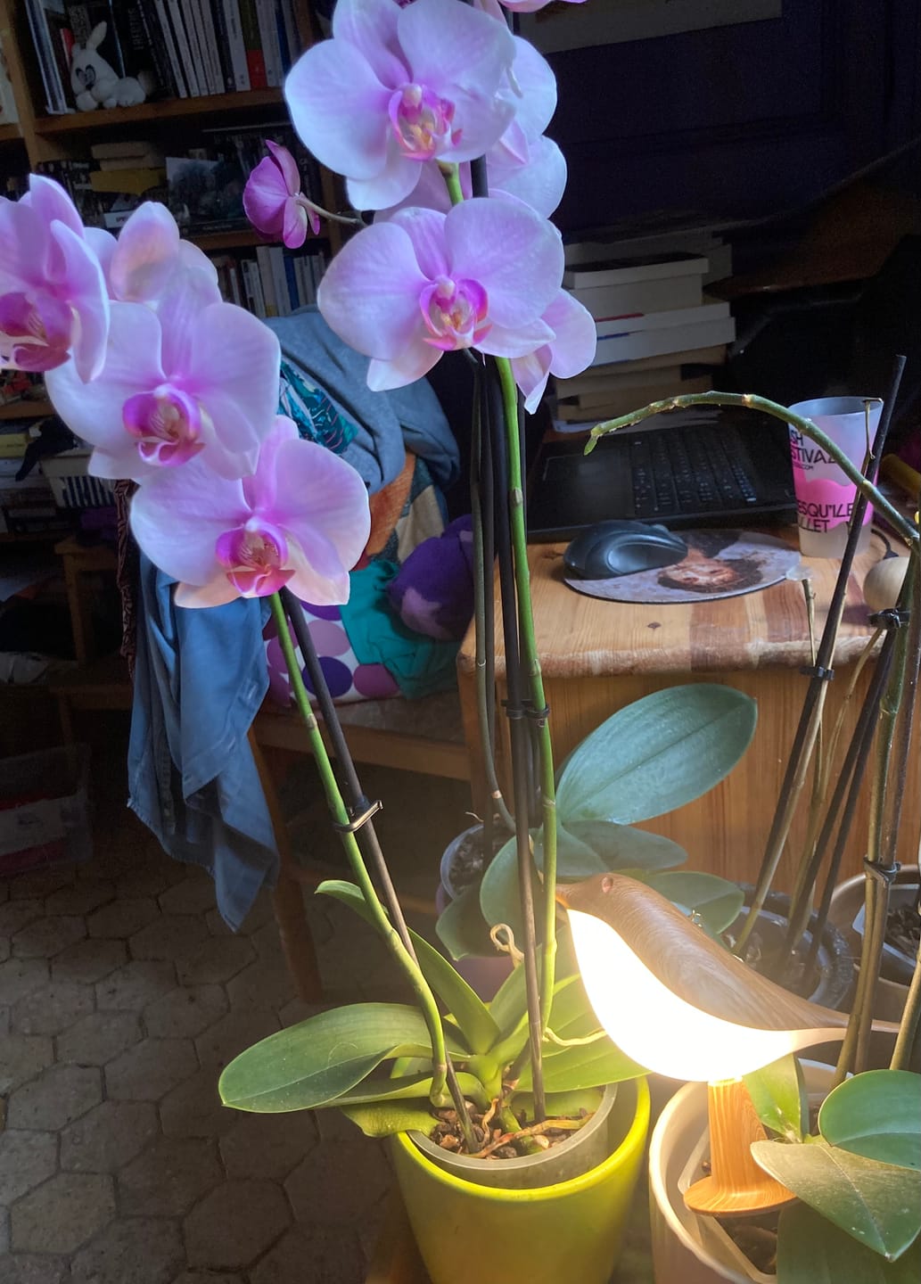 Customer photo review of BirdZen - Lampe de Chevet