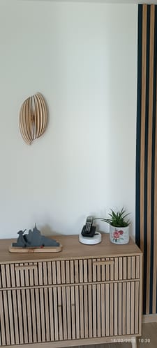 Customer photo review of Assia | Applique