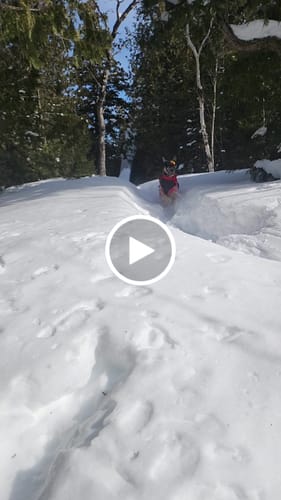 Customer video review of Adjustable Dog Goggles (Doggles)