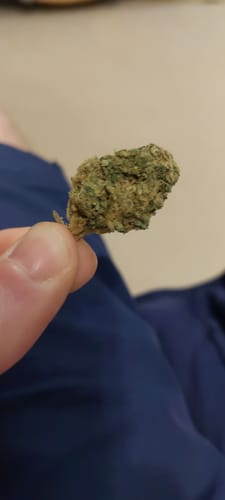 Customer photo review of Green Apple Gas