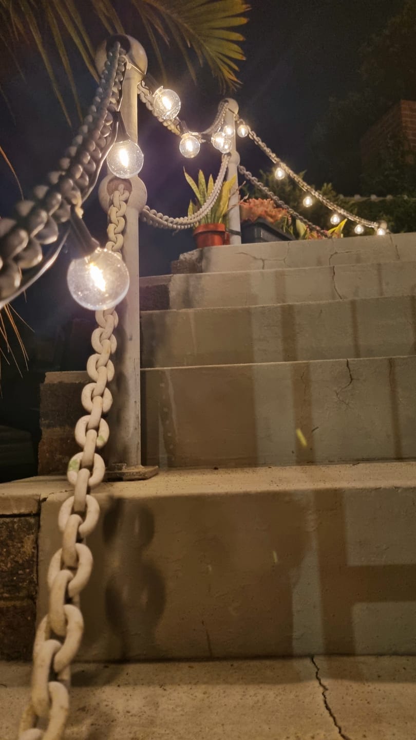 Customer photo review of Solar Mini Bulb String Lights - Black