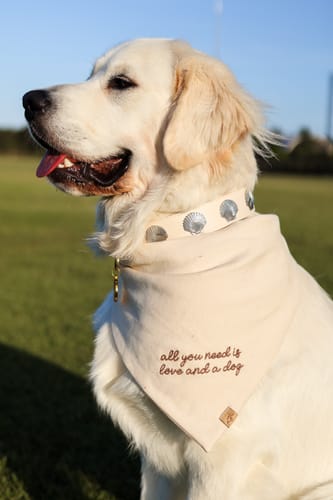 Customer photo review of Custom Saying Embroidered Bandana