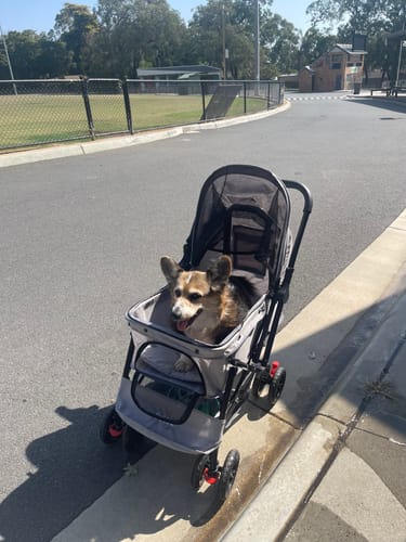 Customer photo review of PaWz Pet Dog Stroller Pram 4 Wheels