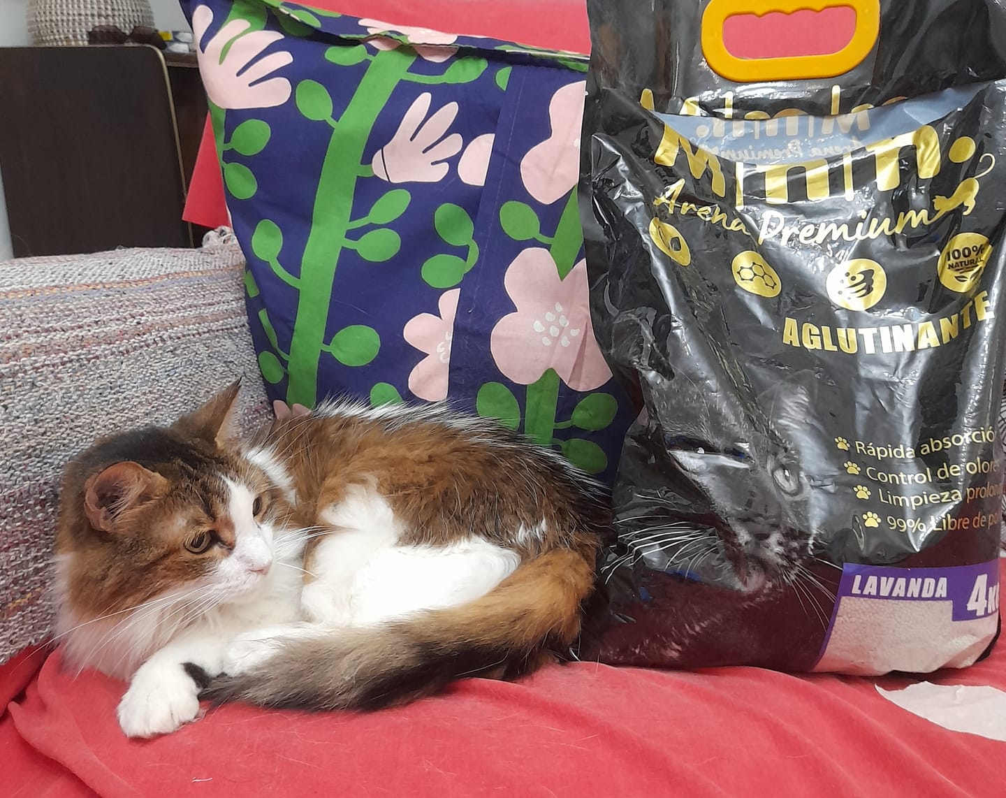Customer photo review of Arena Minino Aglutinante 16kg